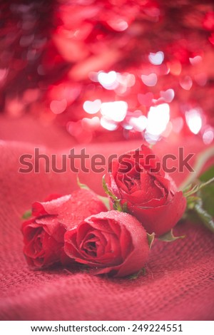 Valentines day with roses