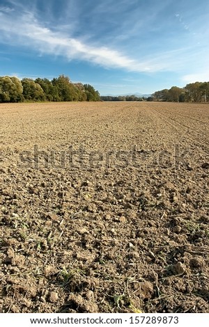Autumn cultivated arable land plow with trees in the background