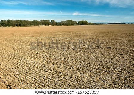 Autumn cultivated arable land plow with trees in the background