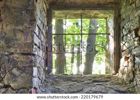 View of the old barred window and trees