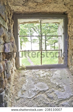 View of the old barred window and trees