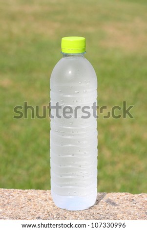 Plastic Water Bottle in the Park