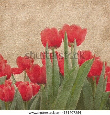 Tulips on Grunge Paper Texture