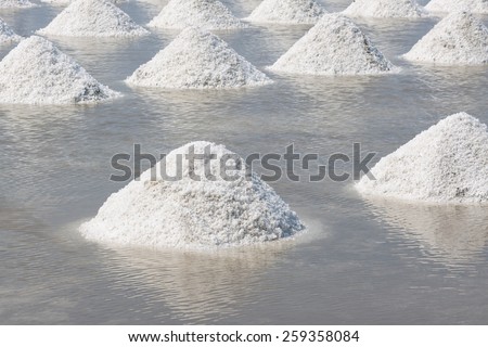 Pile of salt in the salt pan at rural area of Thailand.