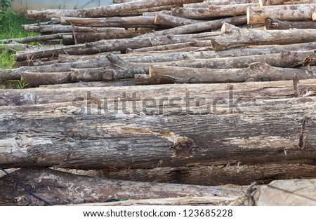 Freshly cut tree logs piled up, Cloesed up