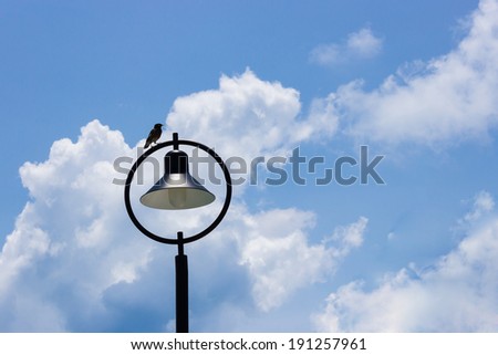 birds sit on electricity post on a background of the blue sky with clouds