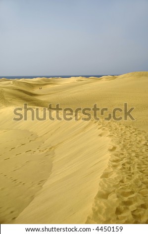 Landscape with sand dunes and people and ocean in the background.