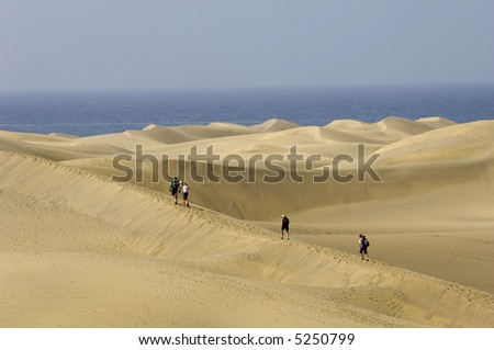 People are walking in the desert
