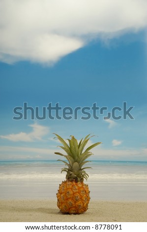 Pineapple on the beach near the water. Withe a  blue and cloudy sky.