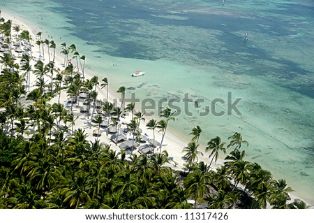 Flying over tropical beach with palms and white sand
