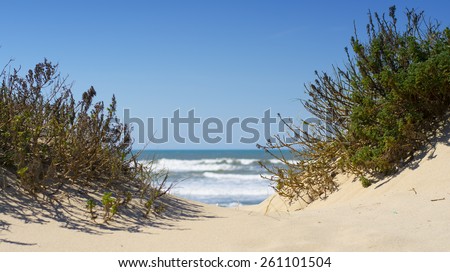 view of the sea through a passage in the dune