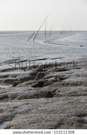 Mud flats in the bay at low tide