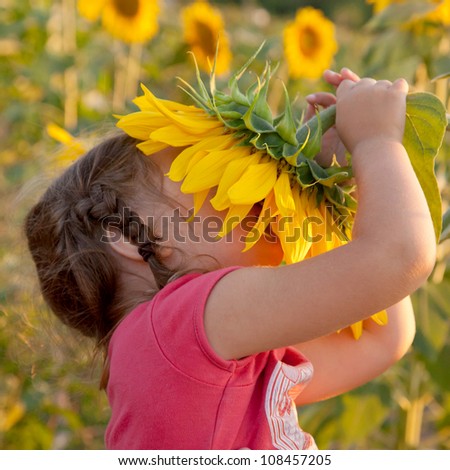 Happy baby with braids smelling big sunflower on summer field. Delight of a pleasant smell. Summer holiday.