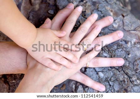 Family Concept.Three Hands Of The Family On The Tree Bark - Baby, Mother And Father. Selective Focus On Infant Handle. Unity, Support, Protection And Happiness. Ready For Your Logo On The Hands
