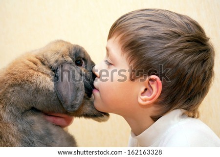 The little boy kissing rabbit. Love for animals concept.