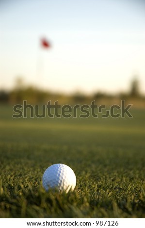 Golf Ball on the Fringe