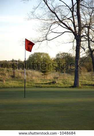 Flag on Golf Green; Want it in or out?