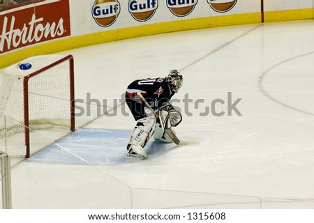 Buffalo Sabers Goalie