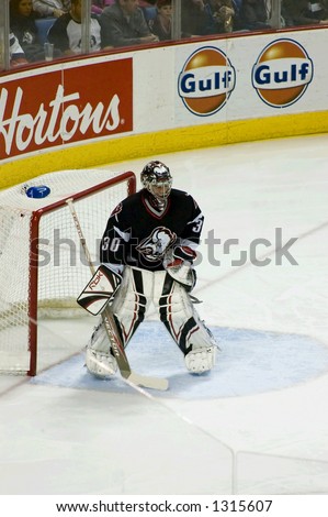 Buffalo Sabers Goalie