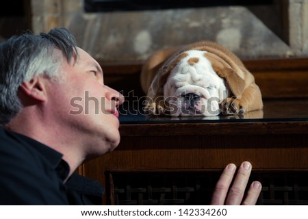 Mature man owner with a dog english bulldog puppy