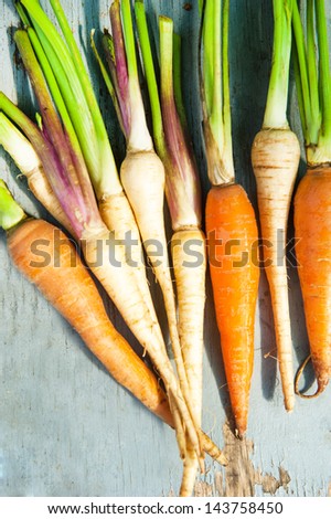 carrots and celery root on a wood background