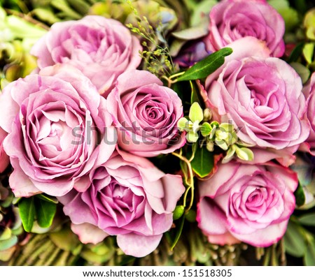 pink roses