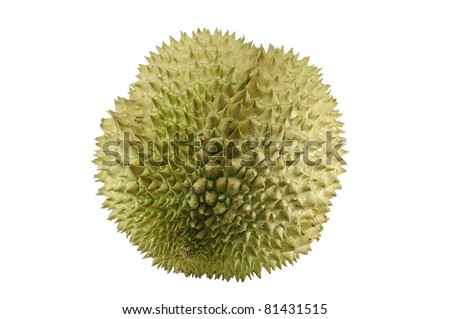 Durian, the king of fruit of South East Asia isolated on white