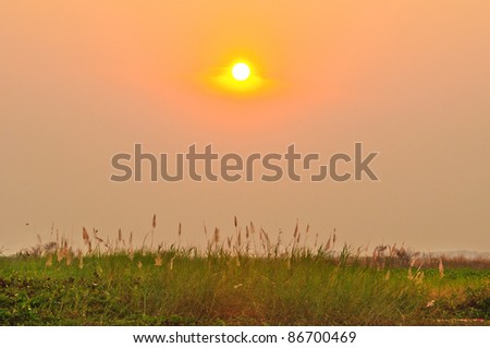 Sun rise with field