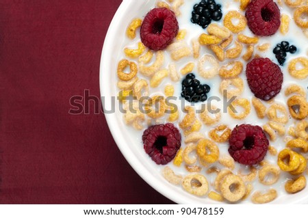 A bowl of cereals with fresh blackberries and raspberries with milk in a white background.