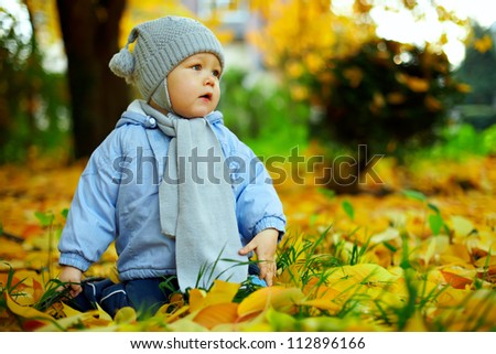 cute baby boy among fallen leaves in autumn park