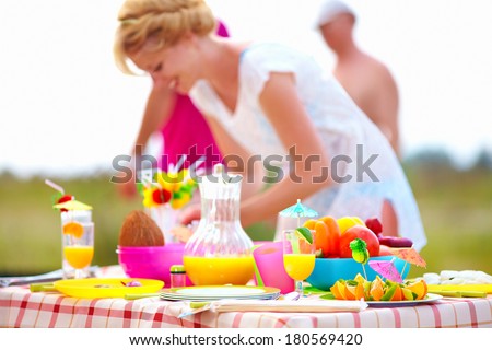 preparing picnic table in summer park