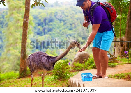 man feeding ostrich on zoo farm