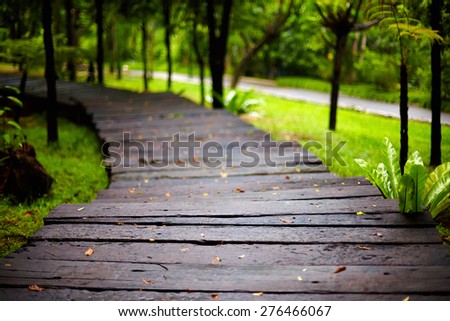 wet hiking path in tropical park