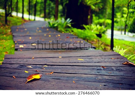 wet hiking path in tropical park