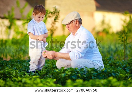 experienced grandfather explains grandson the nature of plant growth