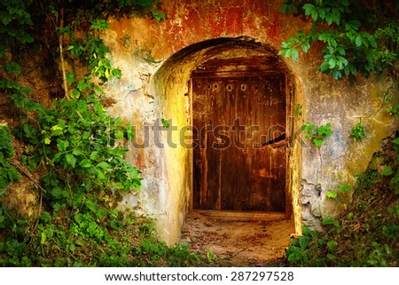 old entrance door in forest. Wine cellar