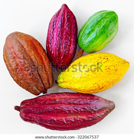 different sorts of colorful cocoa pods on white