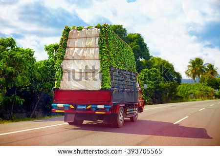 a truck carrying a load of bananas, driving through Dominican Republic road