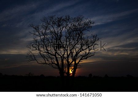 landscape image with trees silhouette at sunset