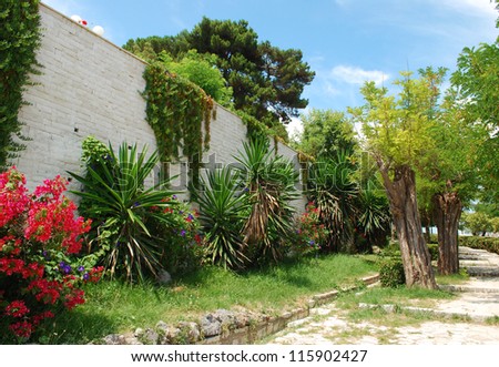 Tropical garden. Brick wall covered with grass and flowers with tropical trees and palms near it.
