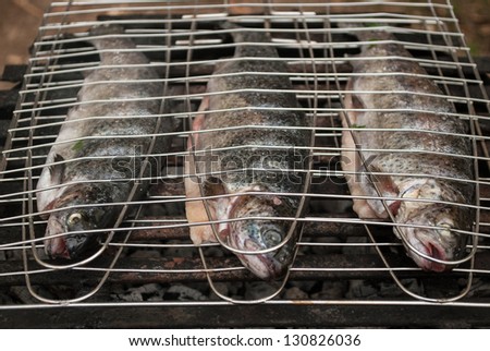 European sea-bass on outdoor grill - BBQ