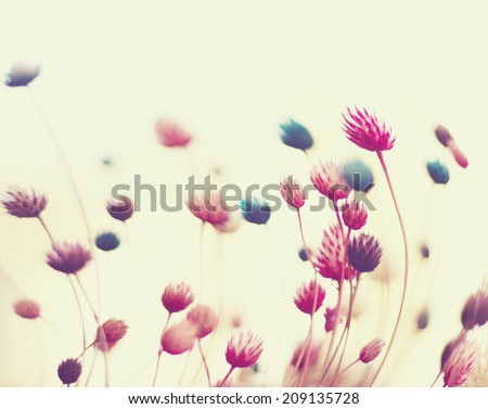 Abstract flower background, defocused flowers in motion with space for text