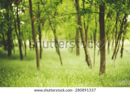 green blurred landscape, forest, eco badge, ecology label, nature view. Forest blur background, web and mobile interface template.