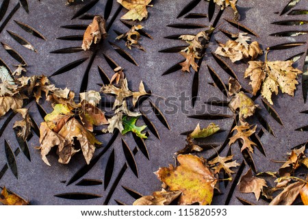 Fallen Autumn Leaves on a metal grid that looks like carved leaves