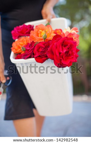 Woman carrying fresh cut roses