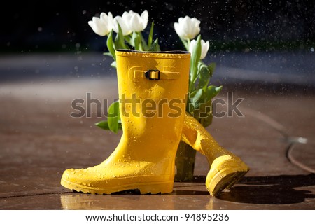 Yellow rubber rain boots with White Tulips ready to plant until the rain came
