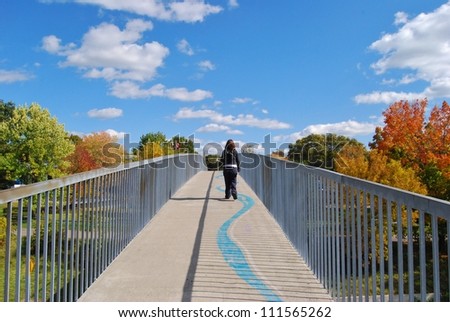 Niagara Falls Park Bridge, and Fall Season Trees, USA