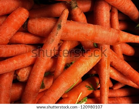 Fresh Carrots Isolated on Black Background