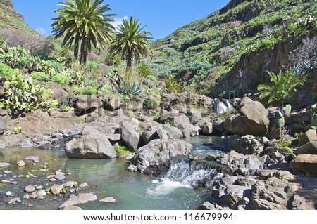 Wild brook in the mountains on La Gomera. La Gomera has a unique nature that invites to hiking. Gomera is one of the most beautiful Canary Islands