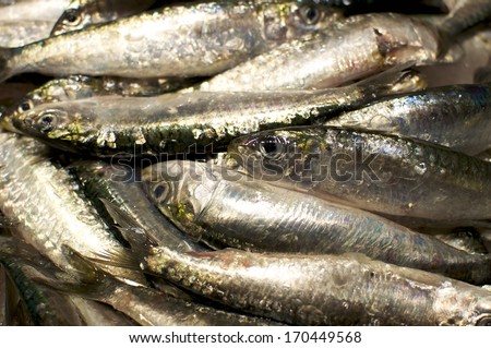 Freshly fish on the market \